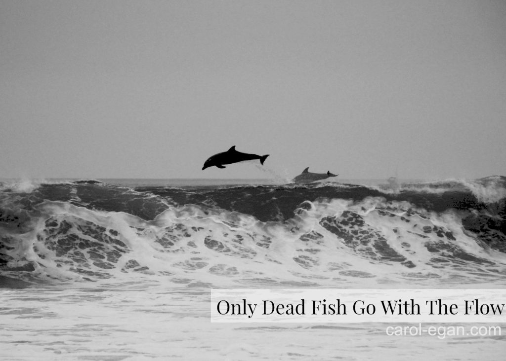 Ілюстрація вислову Only dead fish go with the flow