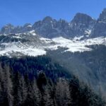 Дерева під час сонячного затемнення